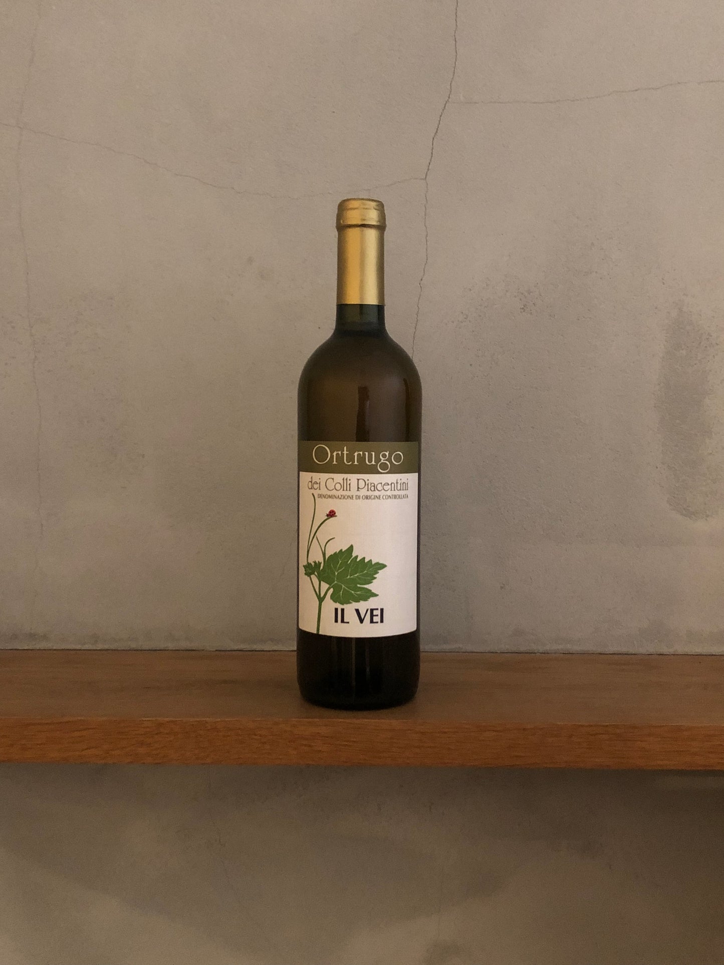 オルトゥルーゴ 2021 / イル ヴェイ