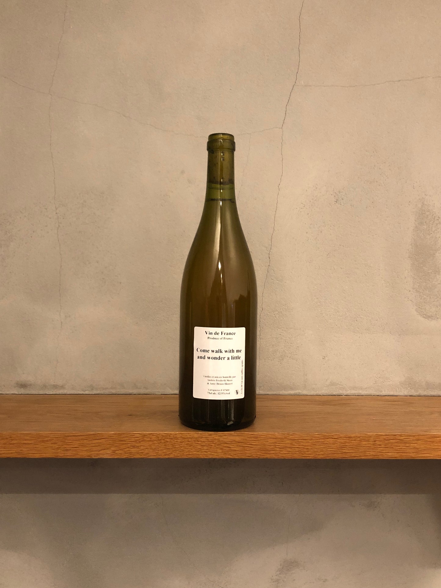 カム・ウォーク・ウィズ・ミー 2018 / アンダース・フレデリック・スティーン