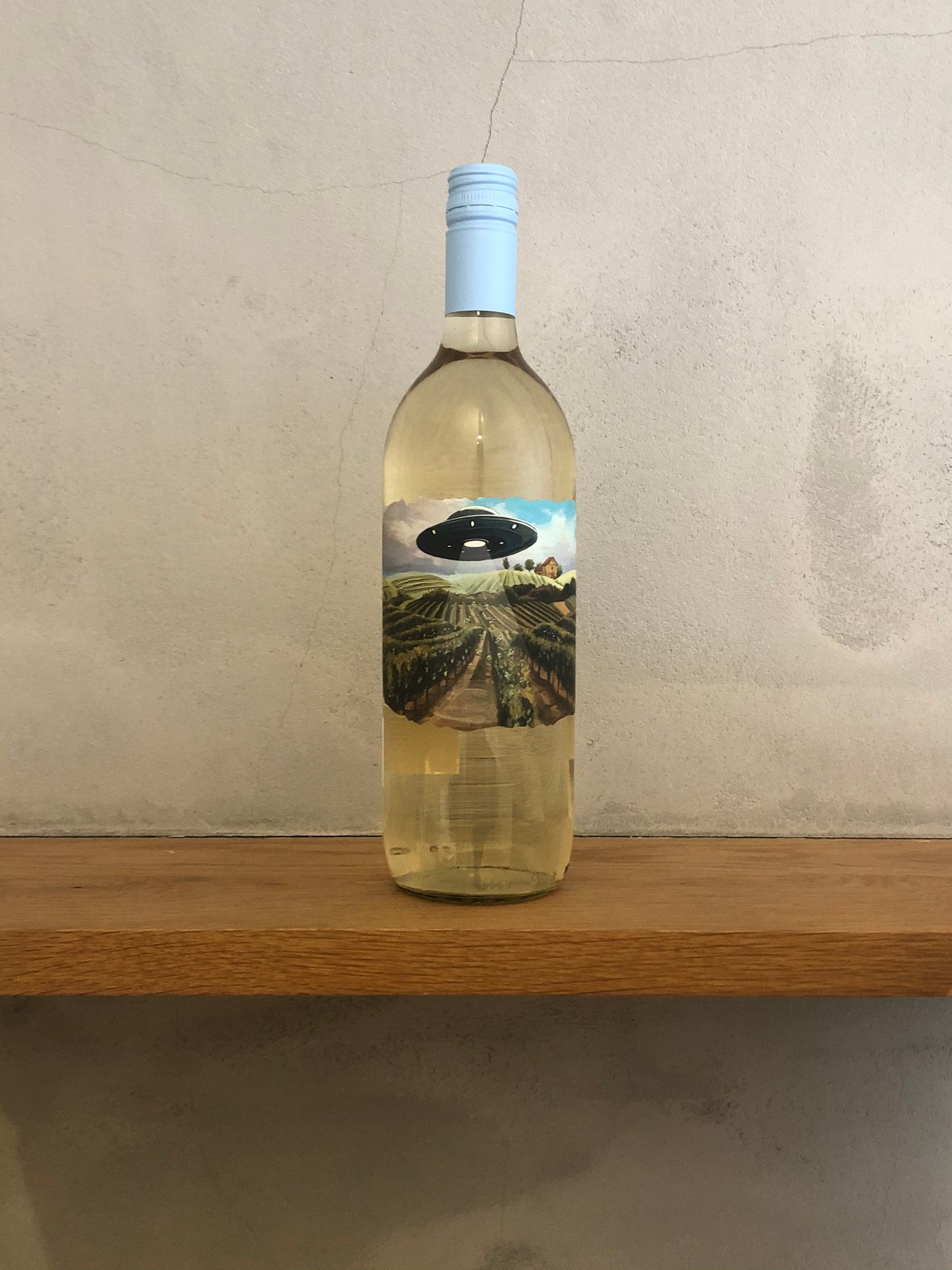 グレープ アブダクション カンパニー 2020 / グンツ