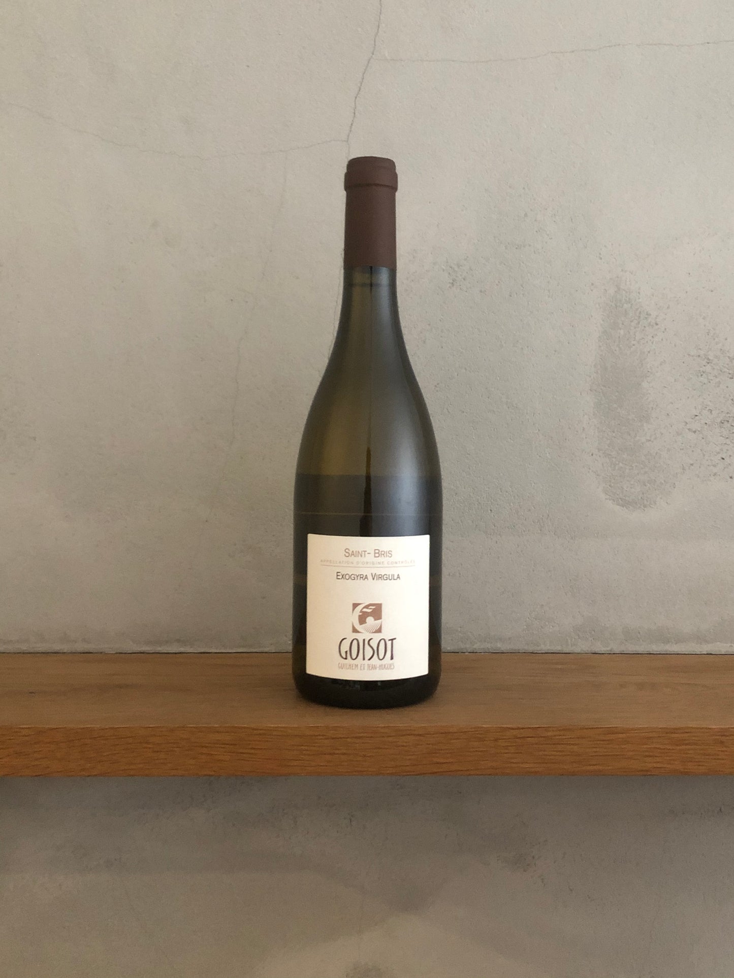 ○サン・ブリ・エグゾジラ・ヴァーギュラ 2017 / ゴワゾ