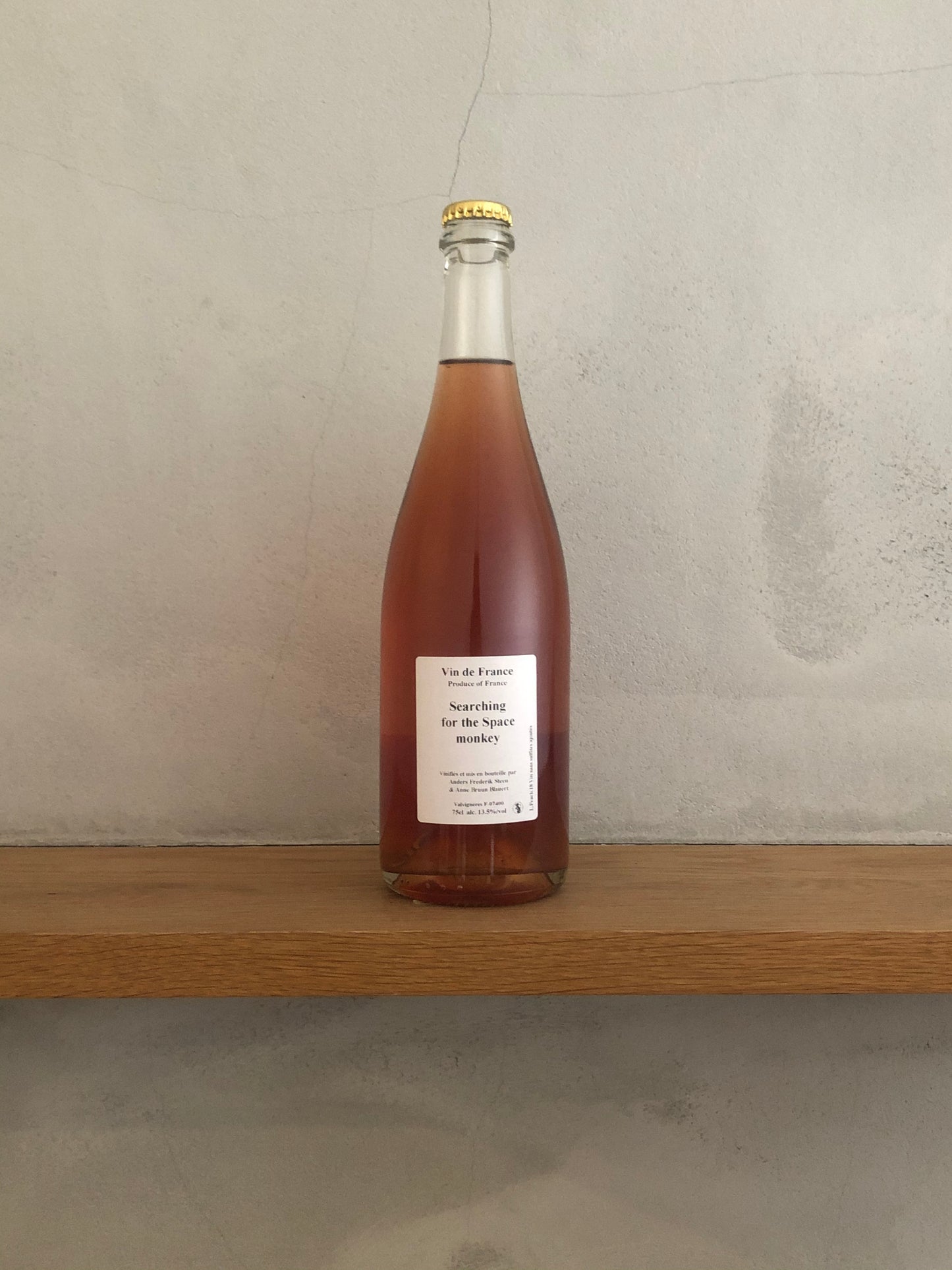 〇サーチング・フォー・ザ・スペース・モンキー 2018 / アンダース・フレデリック・スティーン