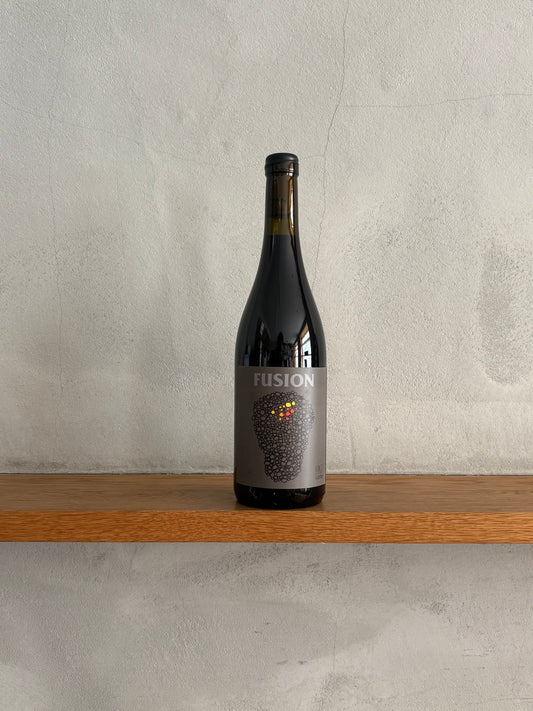 フュージョン 2020 / ノー・コントロール