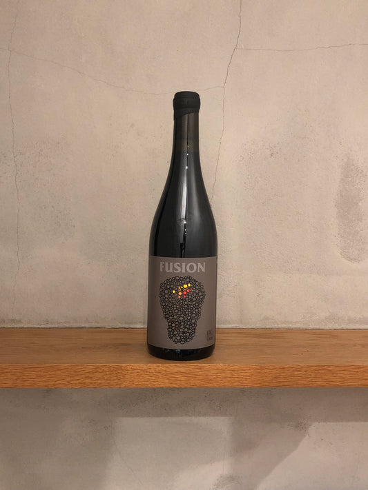 フュージョン2017 /ノー・コントロール