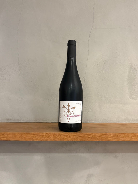 ＶｄＦタンゴ・アトランティコ2019 / ノエラ・モランタン