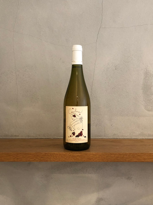 キャロリーヌ 2015 / パトリック・デプラ