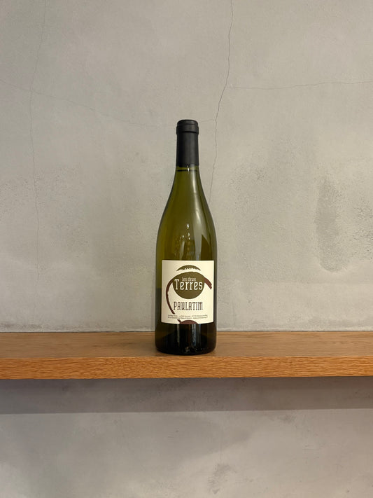 ポラティム シャルドネ 2020 / ドメーヌ・レ・ドゥー・テール