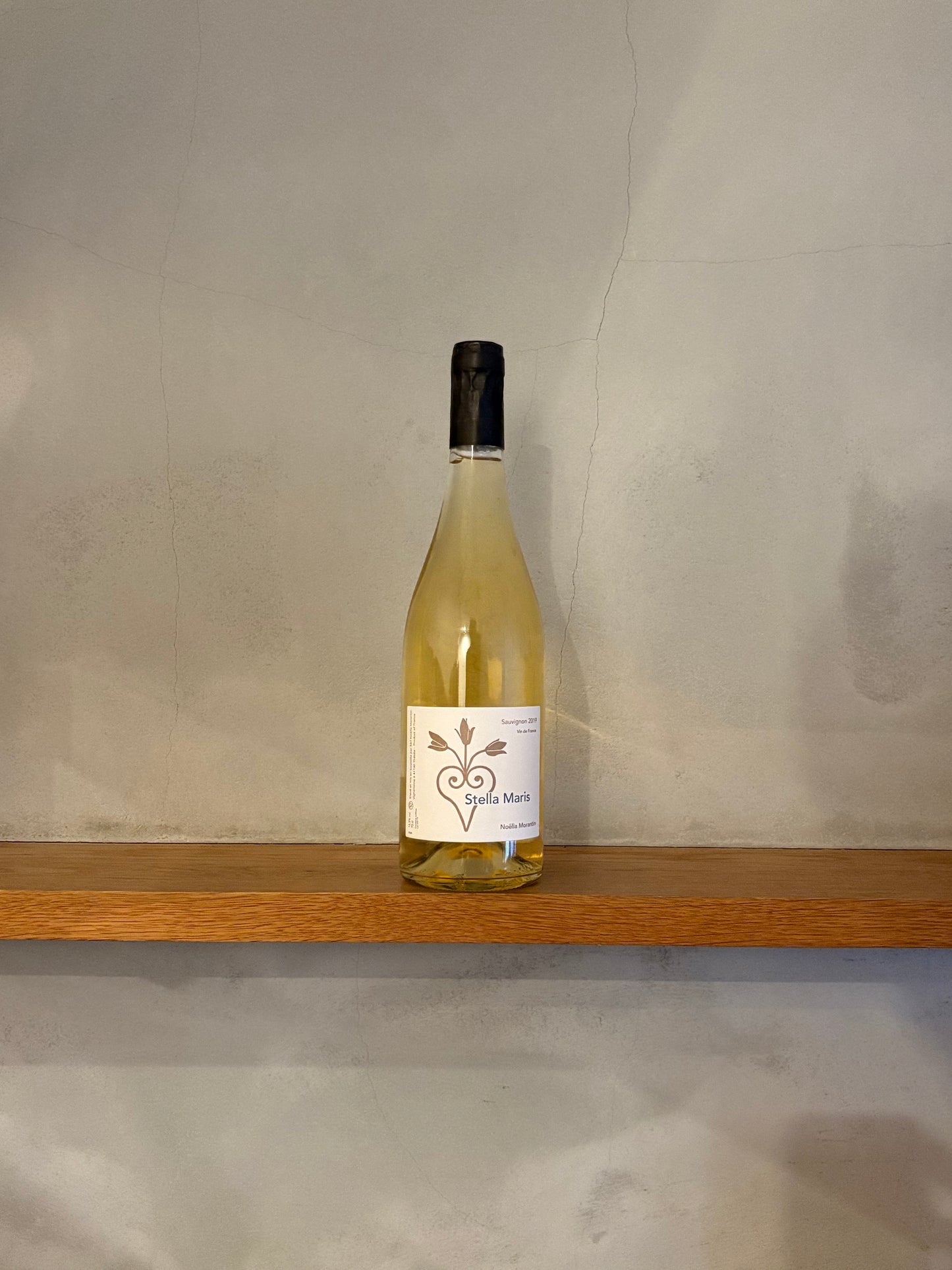 ステラマリス 2019 / ノエラ・モランタン