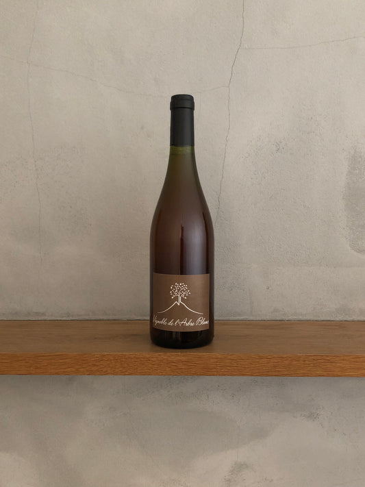 レ・フェス 2015 / ラルブル・ブラン