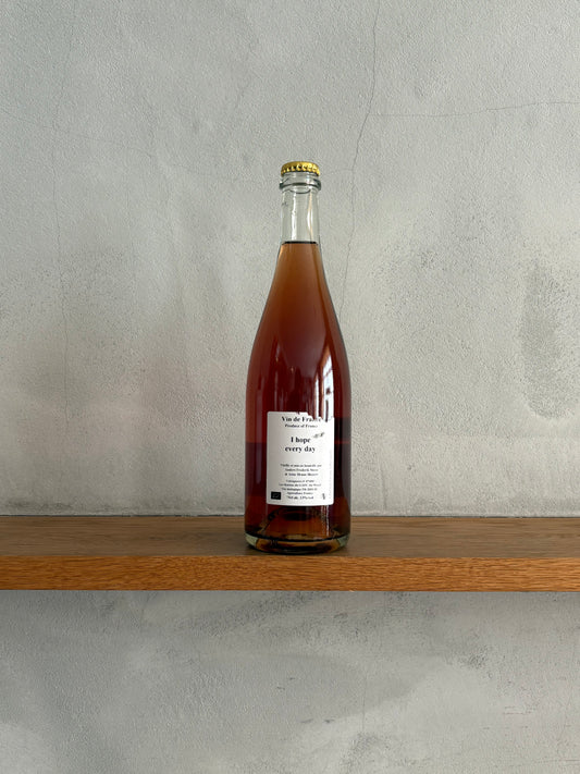 アイ・ホープ・エヴリディ 2021 / アンダース・フレデリック・スティーン