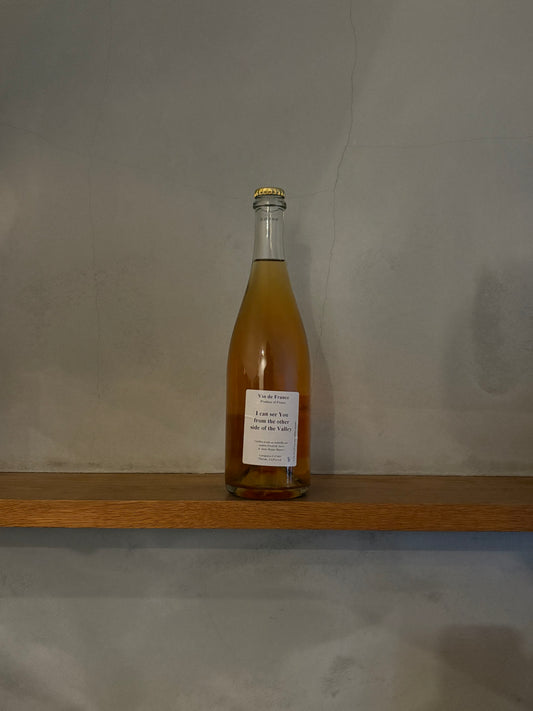 アイ・キャン・シー・ユー・フロム・ジ・アザー・サイド・オブ・ザ・ヴァレー 2019 / アンダース・フレデリック・スティーン