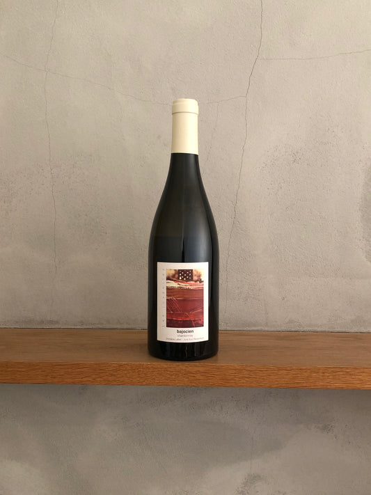 シャルドネ サヴァニャン ヴァン・ド・ヴォワル 2012 / ドメーヌ・ジュリアン・ラベ