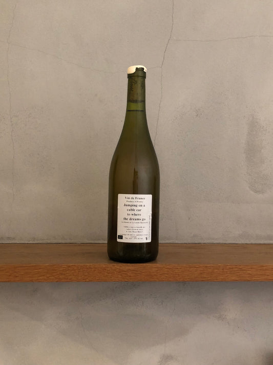 ジャンピング・オン・ア・ケーブル・カー・トゥー 2018  / アンダース・フレデリック・スティーン