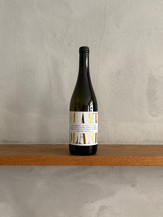 VdFブランク・ソーヴィニョン2020 / ローラン・サイヤール