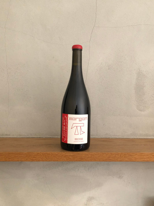 モルゴン　コート・ド・ピィ　キュヴェ3.14π 2016／ジャン・フォワヤール