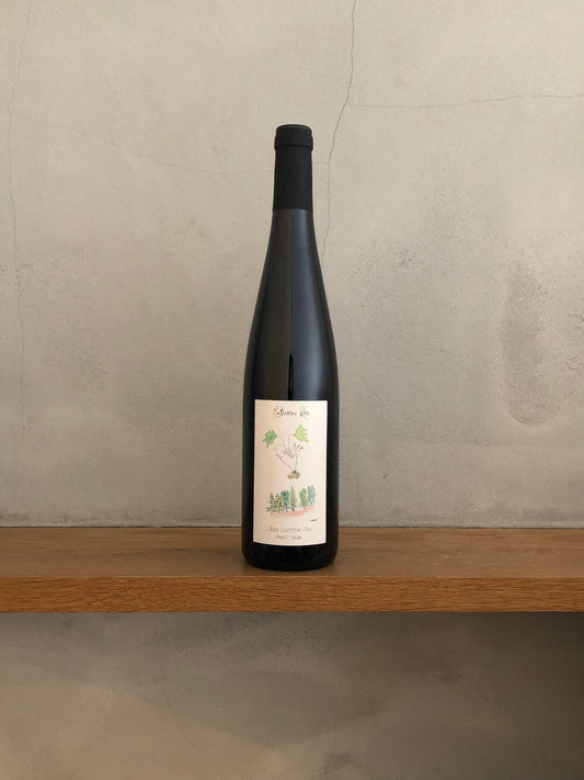 ピノ ノワール リーブル コム レール 2019 / カトリーヌ リス