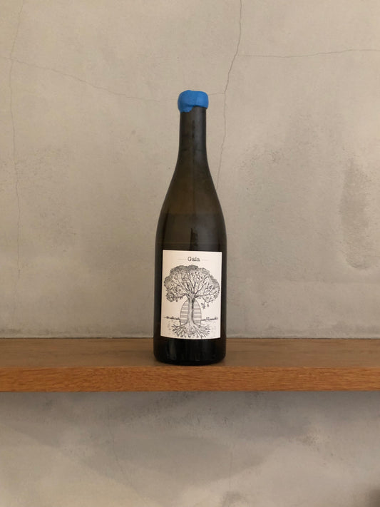 ミュスカデ・ガイア 2018 / ドメーヌ・ド・ベルヴュー