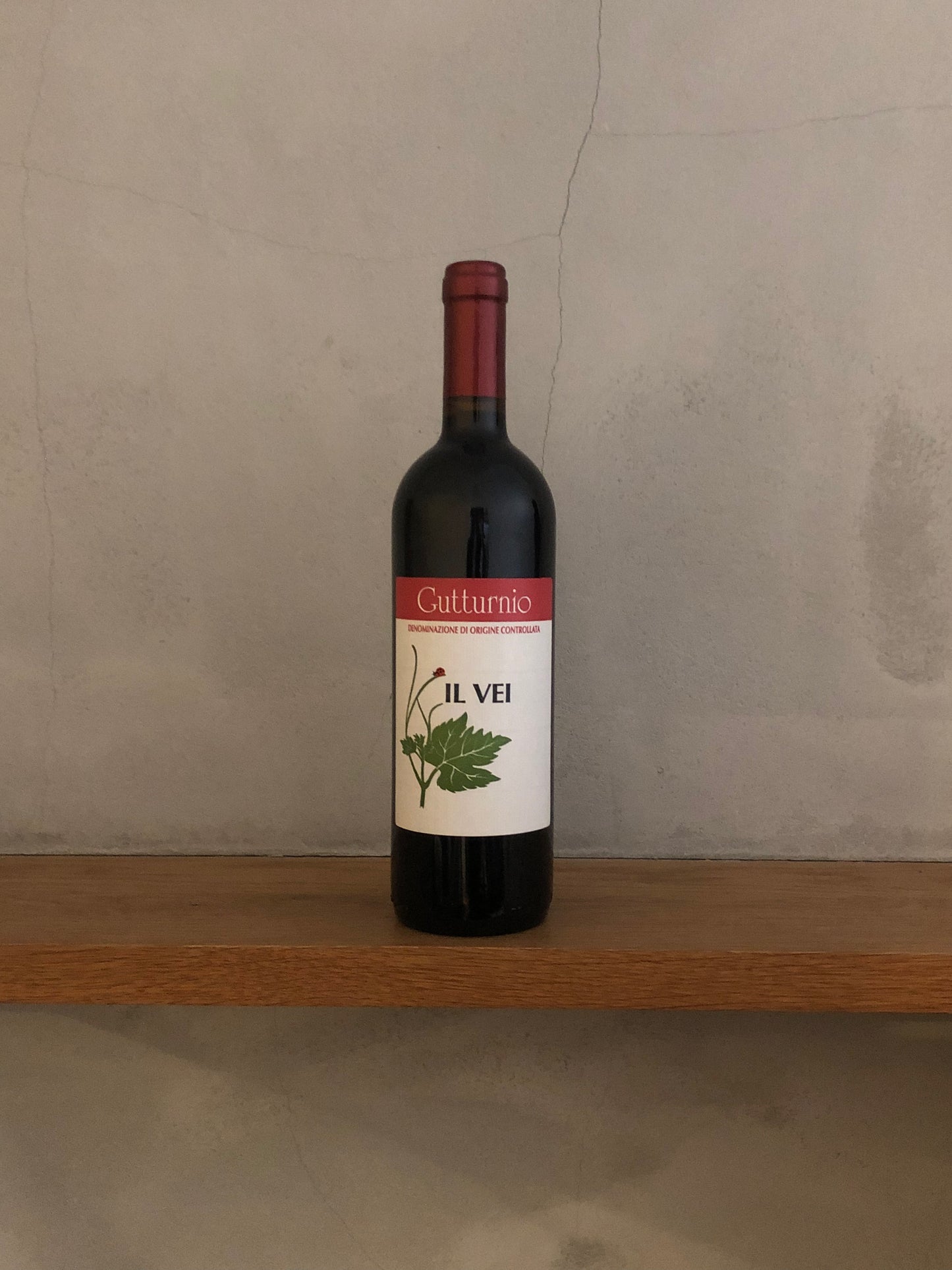 グットゥルニオ 201８ / イル ヴェイ