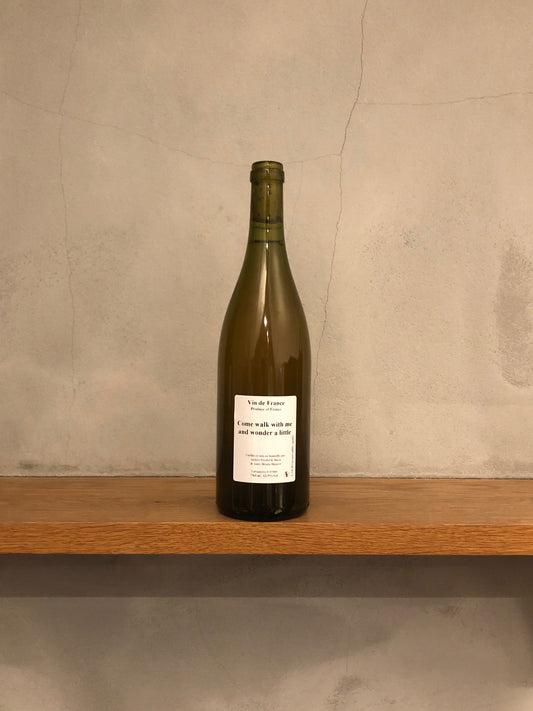 カム・ウォーク・ウィズ・ミー 2018 / アンダース・フレデリック・スティーン