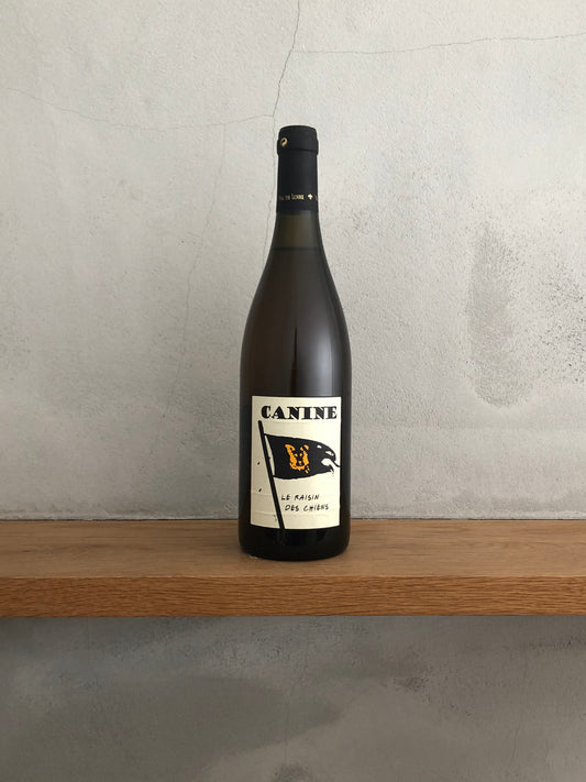 カニーヌNV（2012） / ル・バトセ