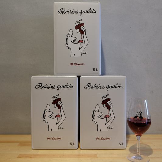 【超限定】【お一人様1点限り】レザン・ゴーロワ2019 バッグインボックス 5L / マルセル・ラピエール