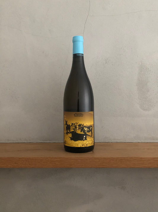 ○エル・バンディート・ローズ・オブ・ドッグタウン・エクスクリュジヴ 2015 / テスタロンガ