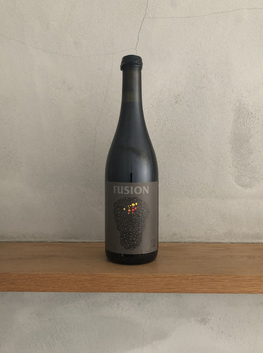 〇フュージョン2016 ／ ノー・コントロール