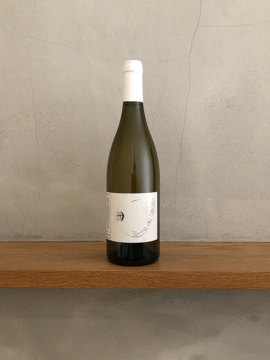 VdFブラン・テール・ド・シリス2016 / レイナルド・エオレ