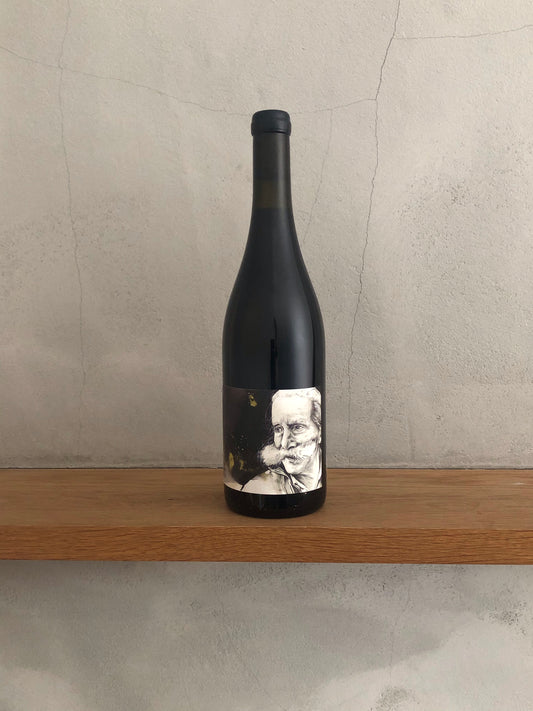 〇ヴィジィオラミンゴ2019/マヌエル・プルチー二