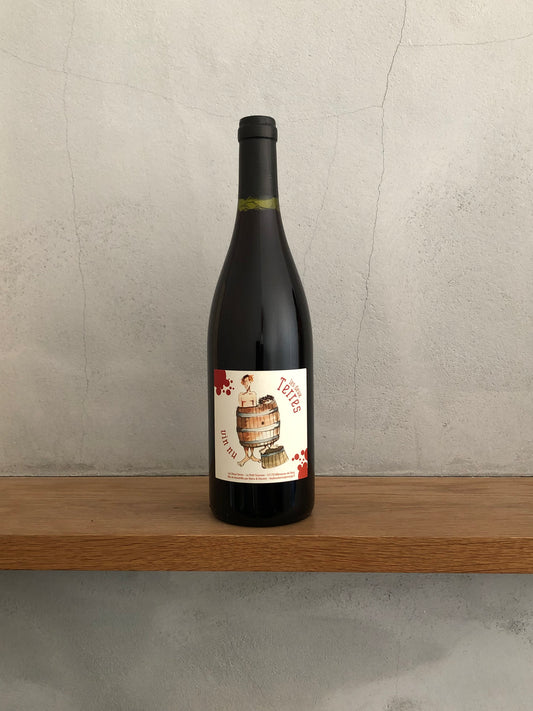 ヴァン・ニュ・ルージュ 2017　/ ドメーヌ・レ・ドゥー・テール